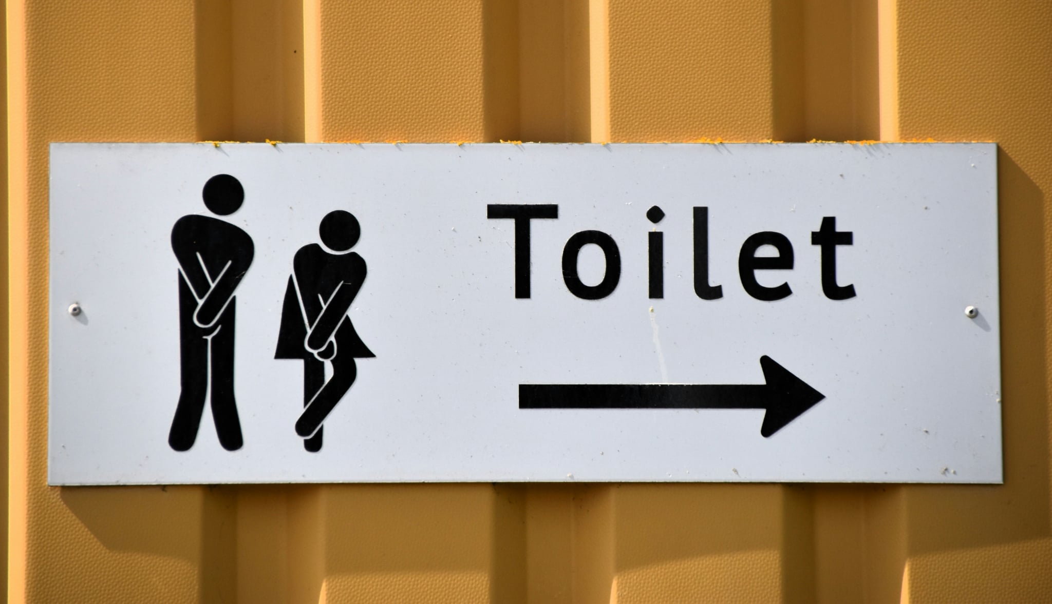Panneau indiquant les toilettes avec pictogrammes d’urgence, symbole de diarrhée